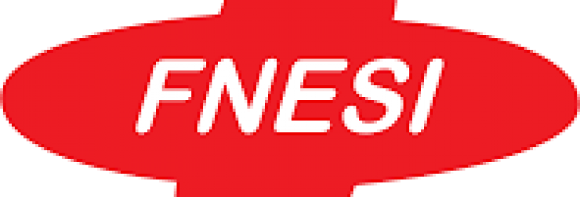Logo FNESI